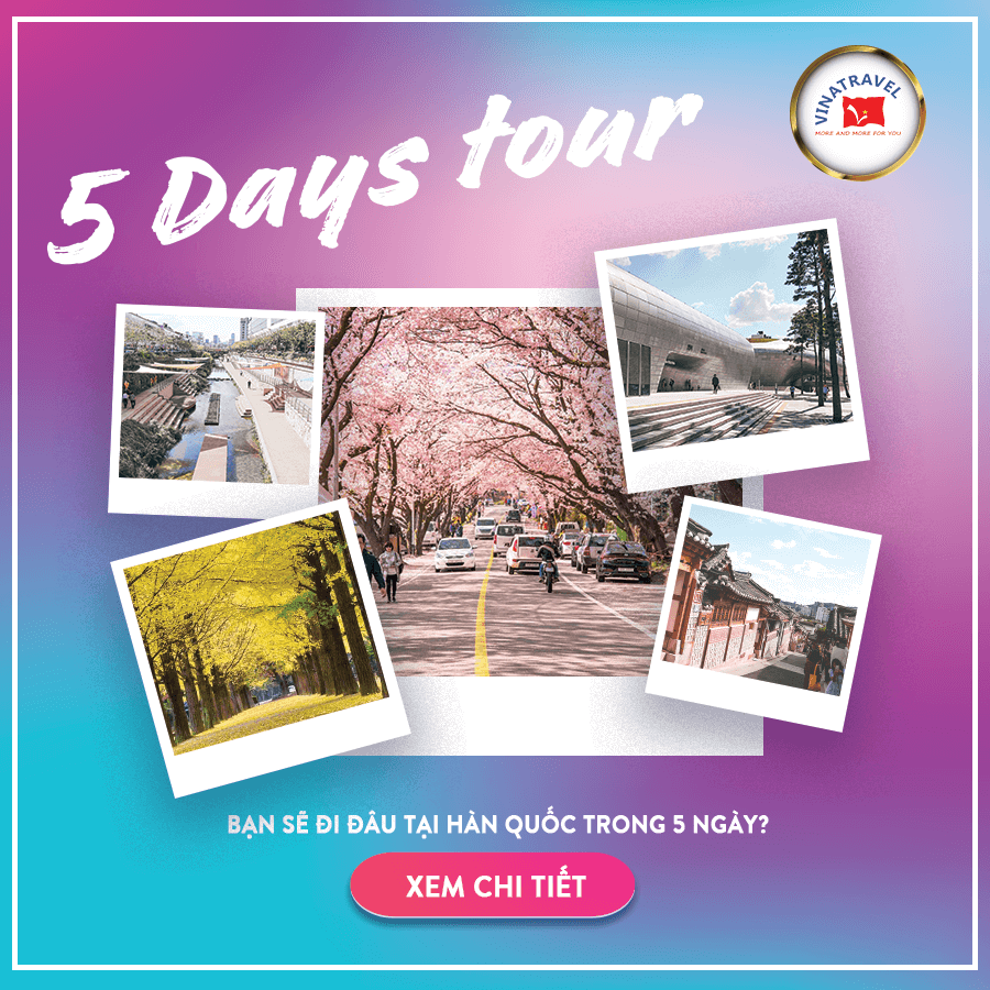 Bạn sẽ đi đâu trong tour du lịch Hàn Quốc 5N4D