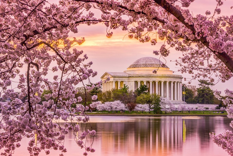 Thủ đô nước Mỹ trong dịu dàng mùa xuân