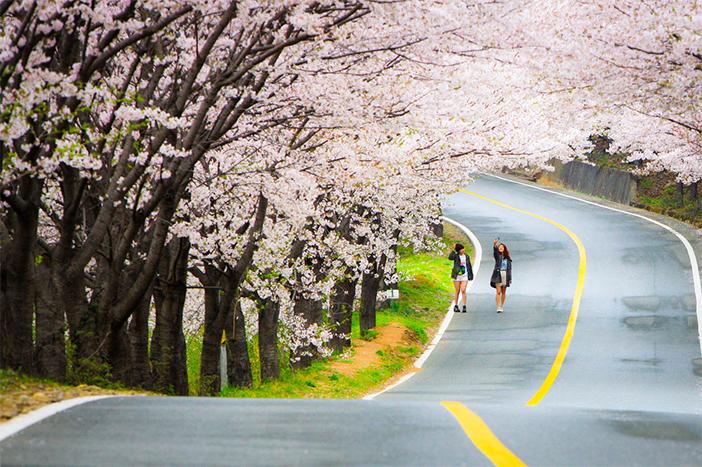 Hàn Quốc đẹp và rất đáng để đi